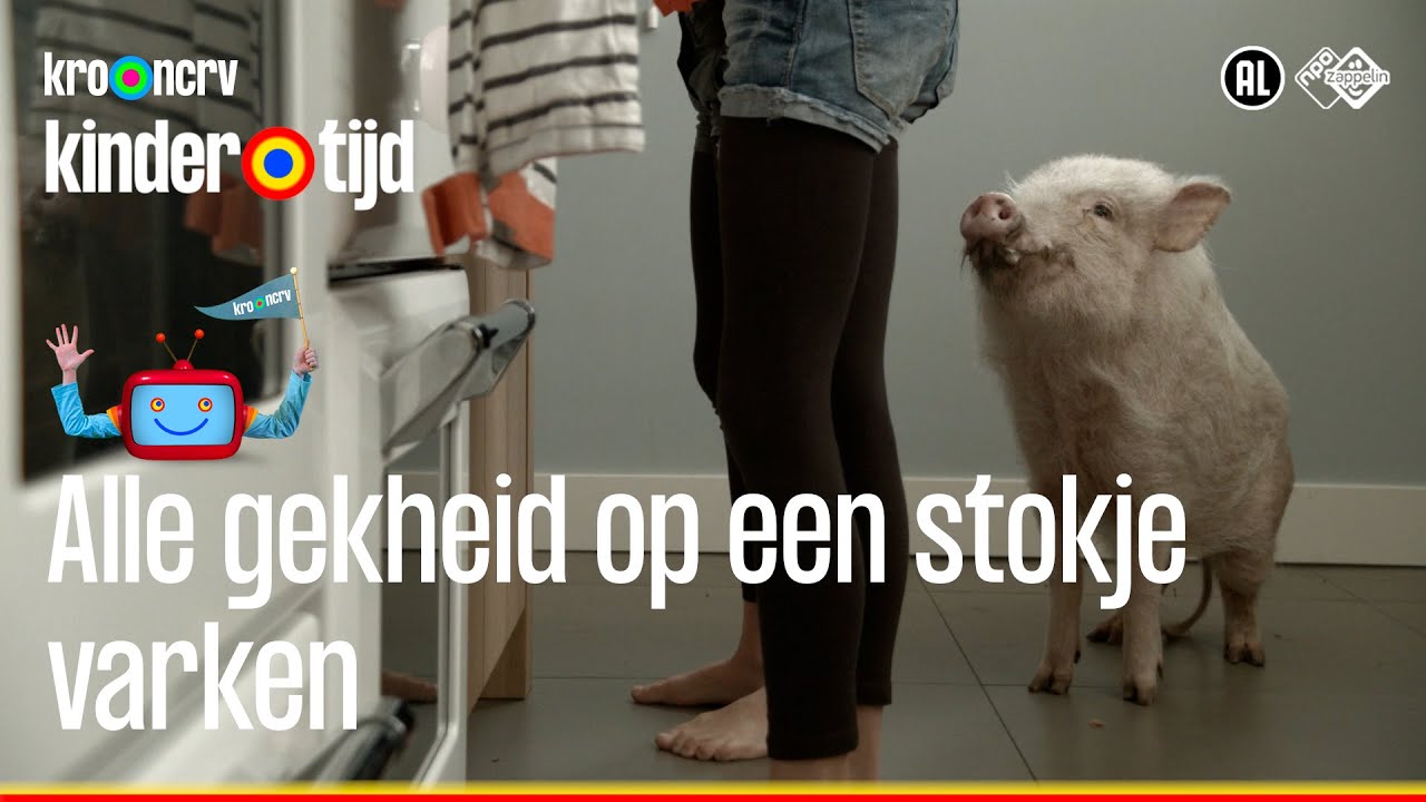 Varken | Alle gekheid op een stokje (Kindertijd KRO-NCRV) - YouTube