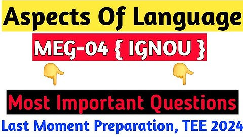 MEG04 Most Important Questions |Aspects of Language| most important topics / Blocks |TEE 2024|IGNOU|