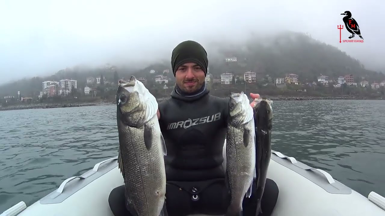 ZIPKINLA BALIK AVI - LEVREK AVLARI #83