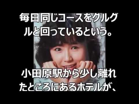 藤谷美和子 統合失調症 - ✓精神分裂病を患っていた有名人まとめ!症状