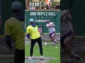 Do you Agree with the Batter?🤔 #dingersornothing #wiffleball #baseball #shorts