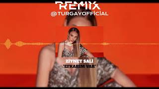 Ziynet Sali - Efkarım Var (Turgay Official Remix) Resimi