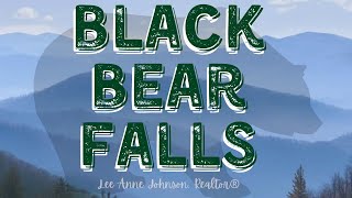 Investors!! Gatlinburg Log Cabin Community - Black Bear Falls Quick Tour