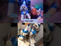 Happy 1st Birthday to My Fur Baby 🐾💙🩵💙#dogmom