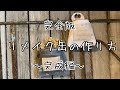 【完全版】リメイク缶の作り方　完成編