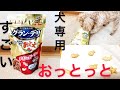 ワンちゃん専用の【おっとっと】を食べさせてみたら、こっちもびっくりした！グラン・デリ　ワンちゃん専用おっとっと(チキン&ビーフ味)