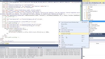 ASP.NET MVC 4 TEMA PARÇALAMA