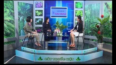 Cây Thuốc Việt số 14 - Trinh Nữ Hoàng Cung