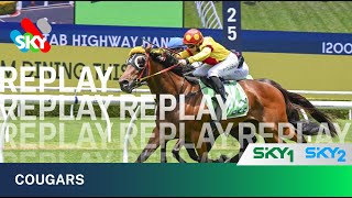COUGARS WINS AT RANDWICK @skyracingaustralia