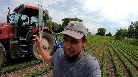 Robot Tractor Cultivates Certified Organic Soya Be...