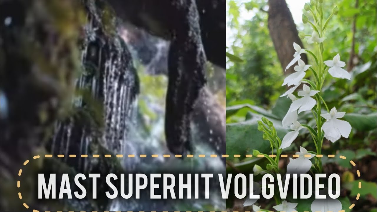 ✨ Village Life Vlog | Waterfall Trekking & Hidden Paradise Exploration 🌿🌊