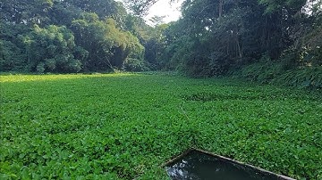 TELAGA PACUH , KONSERVASI SUMBER DAYA AIR DESA PENATARAN