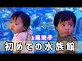 【初めての水族館】1歳2ヶ月双子の反応が可愛いすぎた...。