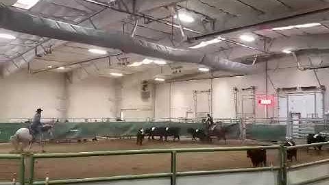 3 Man Team Sorting - Helena