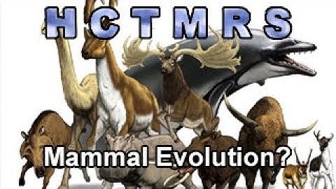 How Creationism Taught Me Real Science 64 Mammal Evolution?