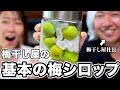 【梅仕事】梅農家に伝わる基本の青梅シロップの作り方
