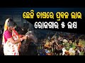 Special story  self reliant woman in odishas aul earns over 5 lakhs annually from goat farming