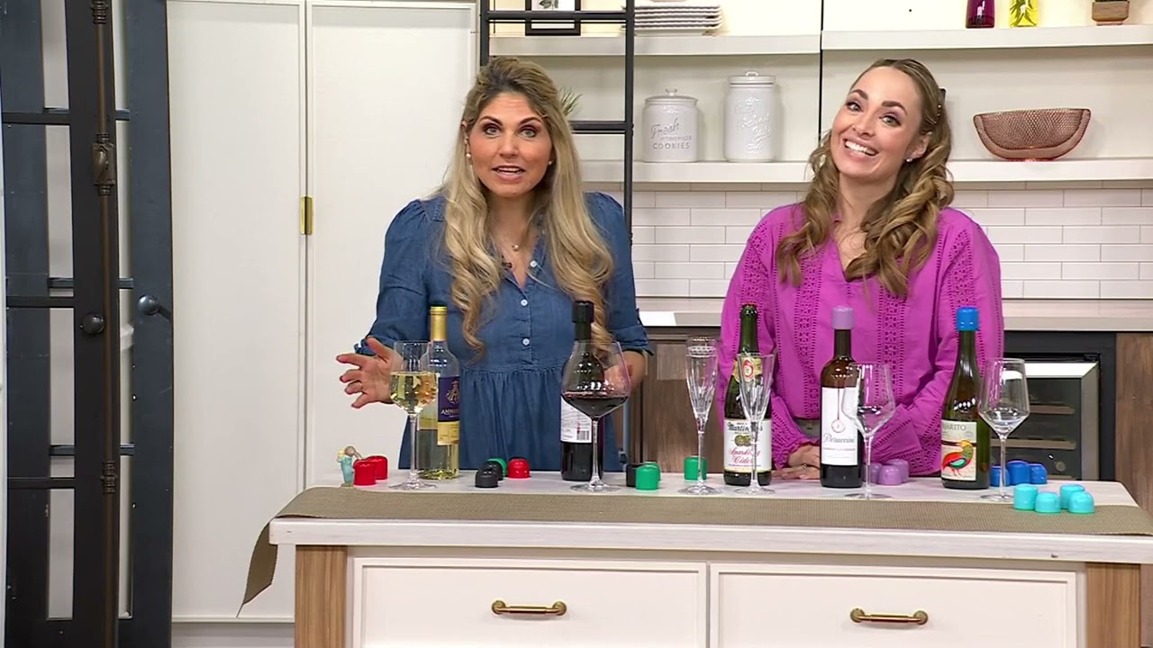 Prepology 6-Pc Wine & Champagne Sealers on QVC