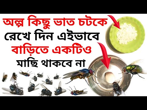 ভিডিও: মাচির কি সমস্যা?