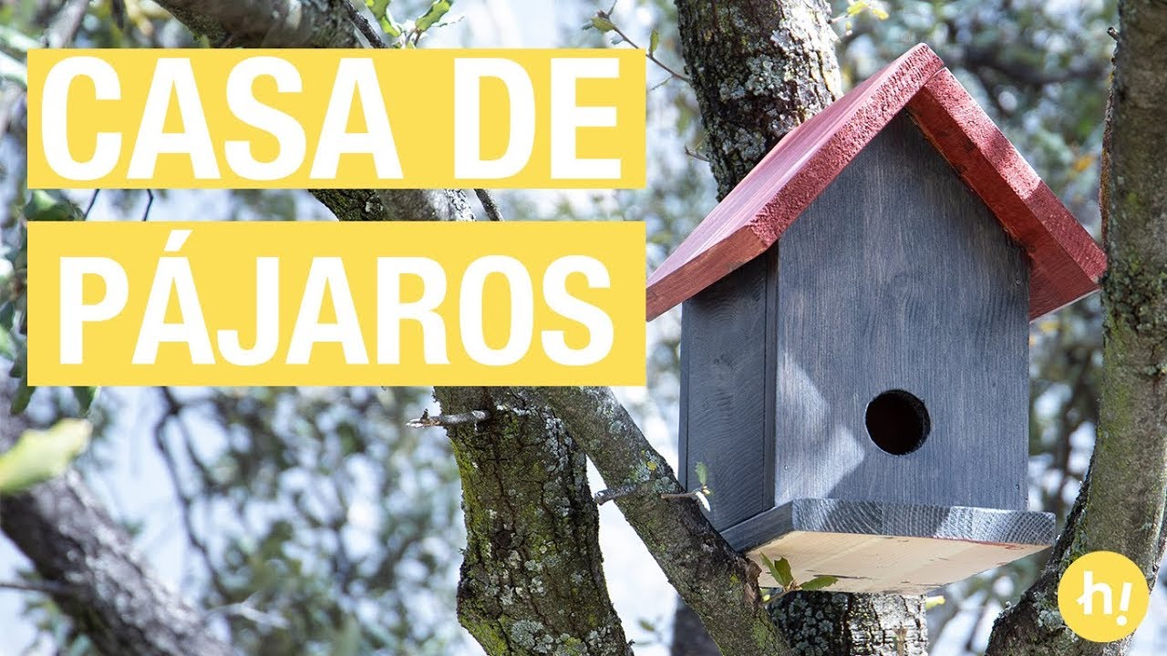 Cómo hacer una casita para pájaros | Refugio para pájaros DIY - YouTube