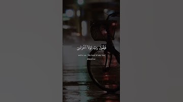 سورة المنافقون 💙#حالات_واتساب #قرآن #حالات #حالات_دينية #حالات_واتس #كرومات