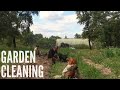 Getting the garden back in shape - Garden cleaning, planting and catching another swarm