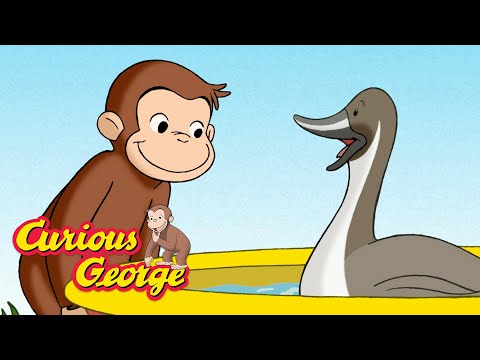 Shrinking Duck Pond 🐵 Curious George 🐵Kids Cartoon 🐵 Kids Movies 🐵Videos for Kids