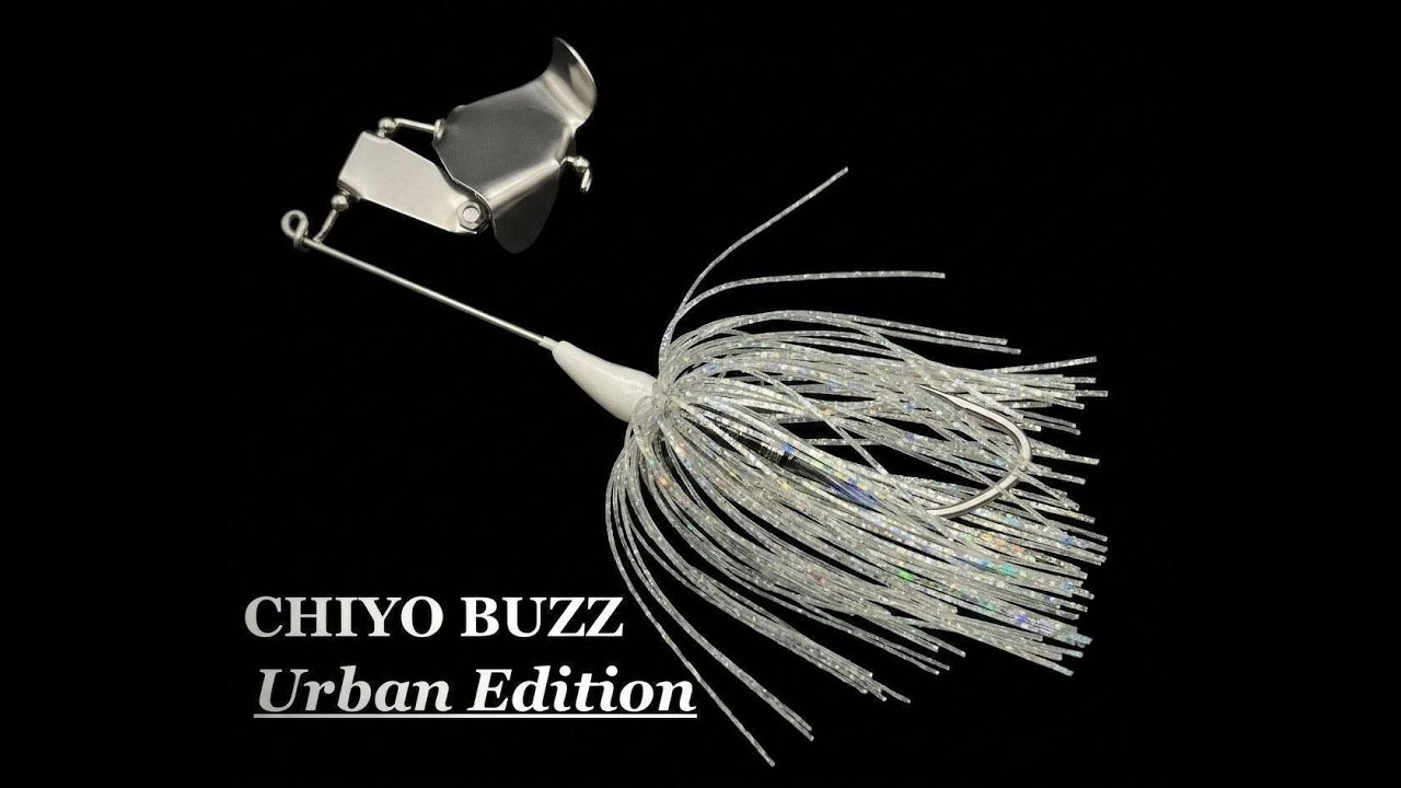 お魚食べましょう。キャラバンオーテック④ Introducing the Chiyo Buzz Urban Edition: Effective for High