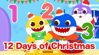 12 Days of Christmas🎄 | Learn Numbers | Best Carols for kids | 15-Minute Learning with Baby Shark