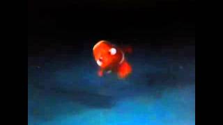 Meghan McCarthy Vine   He touched the butt