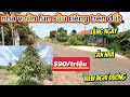 645/NHÀ VƯỜN VIEW NGHĨ DƯƠNG FUN SÂU RIÊNG MT NHỰA SAN 100/THO CƯ SO SAN 15X64X100/TC DT 916M ²