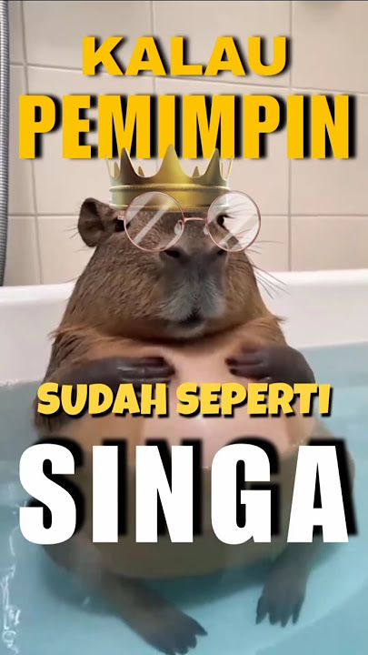 Kalau pemimpin sudah seperti singa @maulana9725