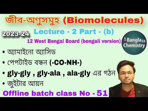 Video Biomolecules Class 12 WB -(b)- Peptide bond, Amino acid, gly-gly, ala-gly, gly-ala, zwitter ion - youtube