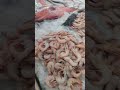 Египет рыбный рынок. 25.10.2025 г