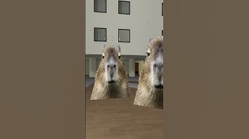 Capybara Nextbot Gmod!