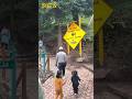 Part 2 | Aj Rawalpindi say Mushkpuri Track ka Sefer ! #travel #traveltiktok #traveling #roadtrip