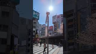 Download Lagu teriyaki boyz MP3