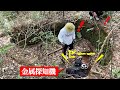 未開の山奥で謎の縦穴発見…金属探知機で世紀の大発見!?