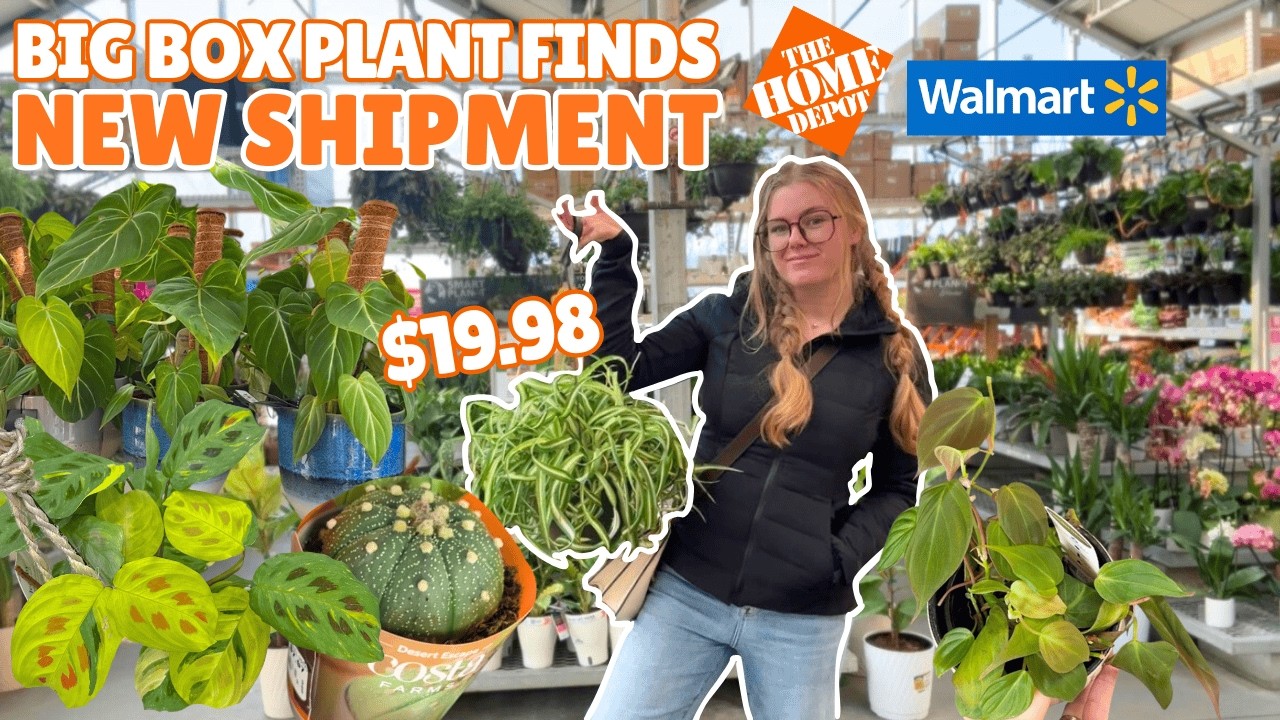 🥳 home depot got fresh plants 🪴 $19 plant finds and fails 🤑