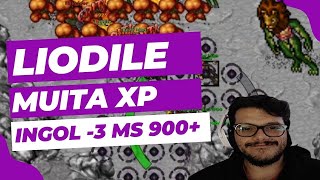 Fui caçar LIODILE BOOSTADO com meu MASTER SORCERER 962 e FOI MUITO BOM! - Mp3player TIBIA