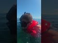 NOT What I Wanted To Hear While Snorkelling 