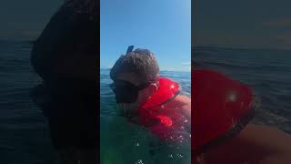 NOT What I Wanted to Hear While Snorkelling