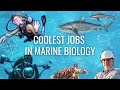 COOLEST Jobs in Marine Biology (w/ salaries) // Part II // Careers in Biology