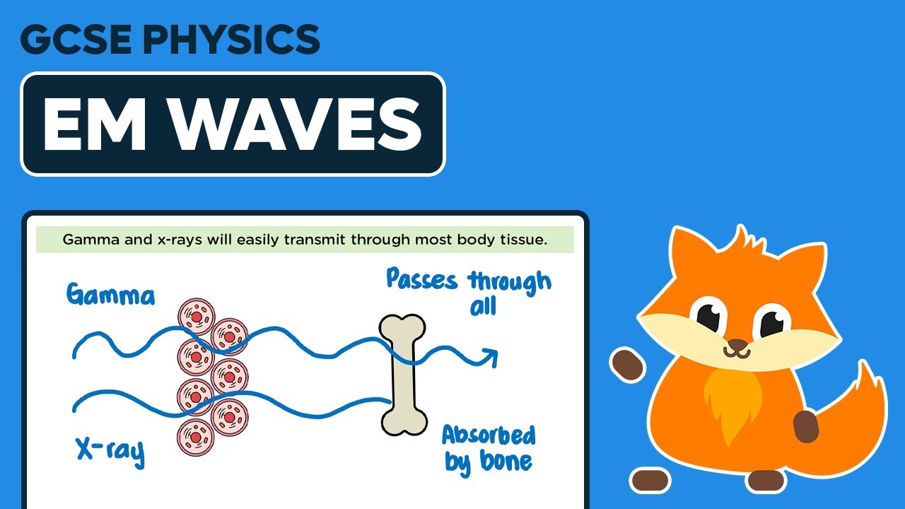 Properties of High-Frequency Electromagnetic (EM) Waves - GCSE Physics