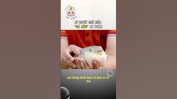 Chế Biến Cá Nóc An Toàn #cothebanchuabiet #chếbiếnthựcphẩm #cánóc