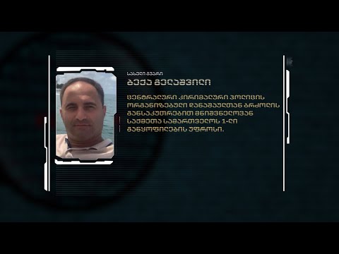 კრიმინალური პოლიციის მაღალჩინოსანი ურეკში 18 წლის გოგოს მანქანით დაეჯახა