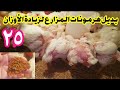 عمر 25 يوم عشبة جبارة ببلاااااش هتفتح عضم وصدر الفراخ زي الديك الرومي وتخليهم يشيلو أوزان رهيبه 