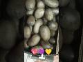 💜Three types of potatoes #potato #violet #pink #yellow #vegetables ##shortvideo #short