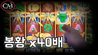 슬롯머신 오룡이 실시간 오늘 터진다.. screenshot 3