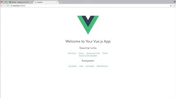 03 build a multi user video chat app 289 install and set up vuex hd